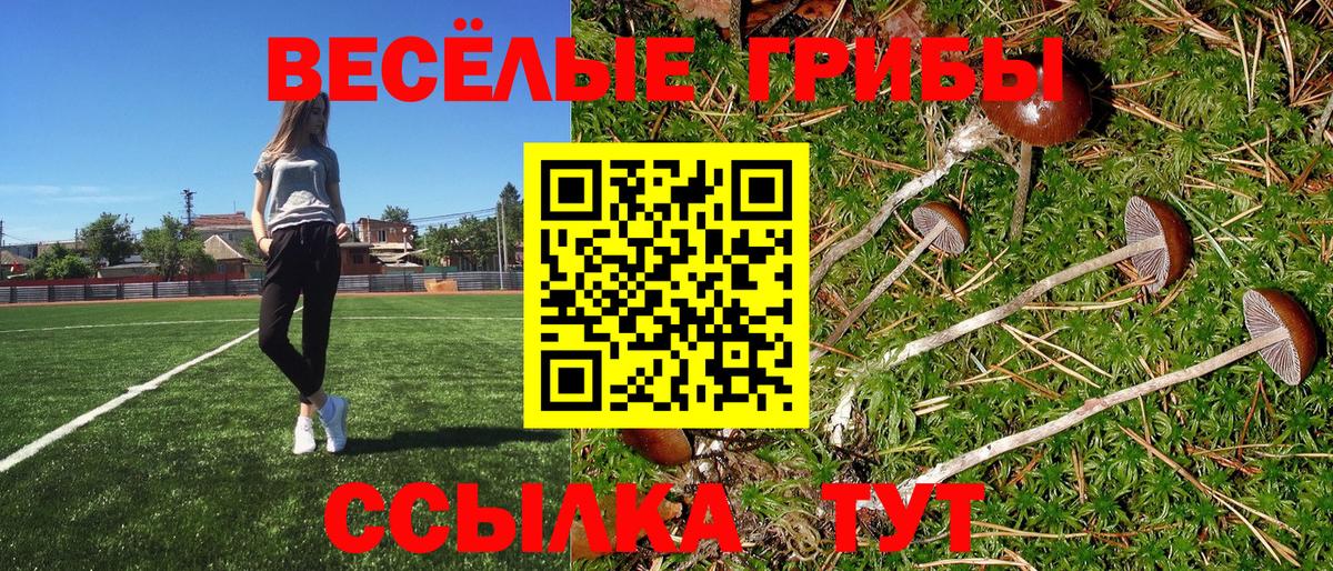 Псилоцибиновые грибы GOLDEN TEACHER Железноводск