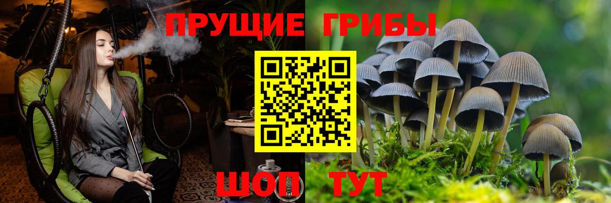 Железноводск  Галлюциногенные грибы мухоморы  Вход с VPN 